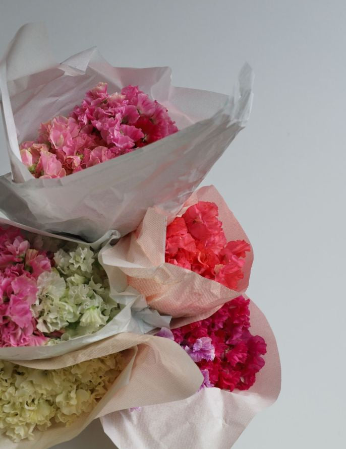 5 Spring Poho Flowers Favourites