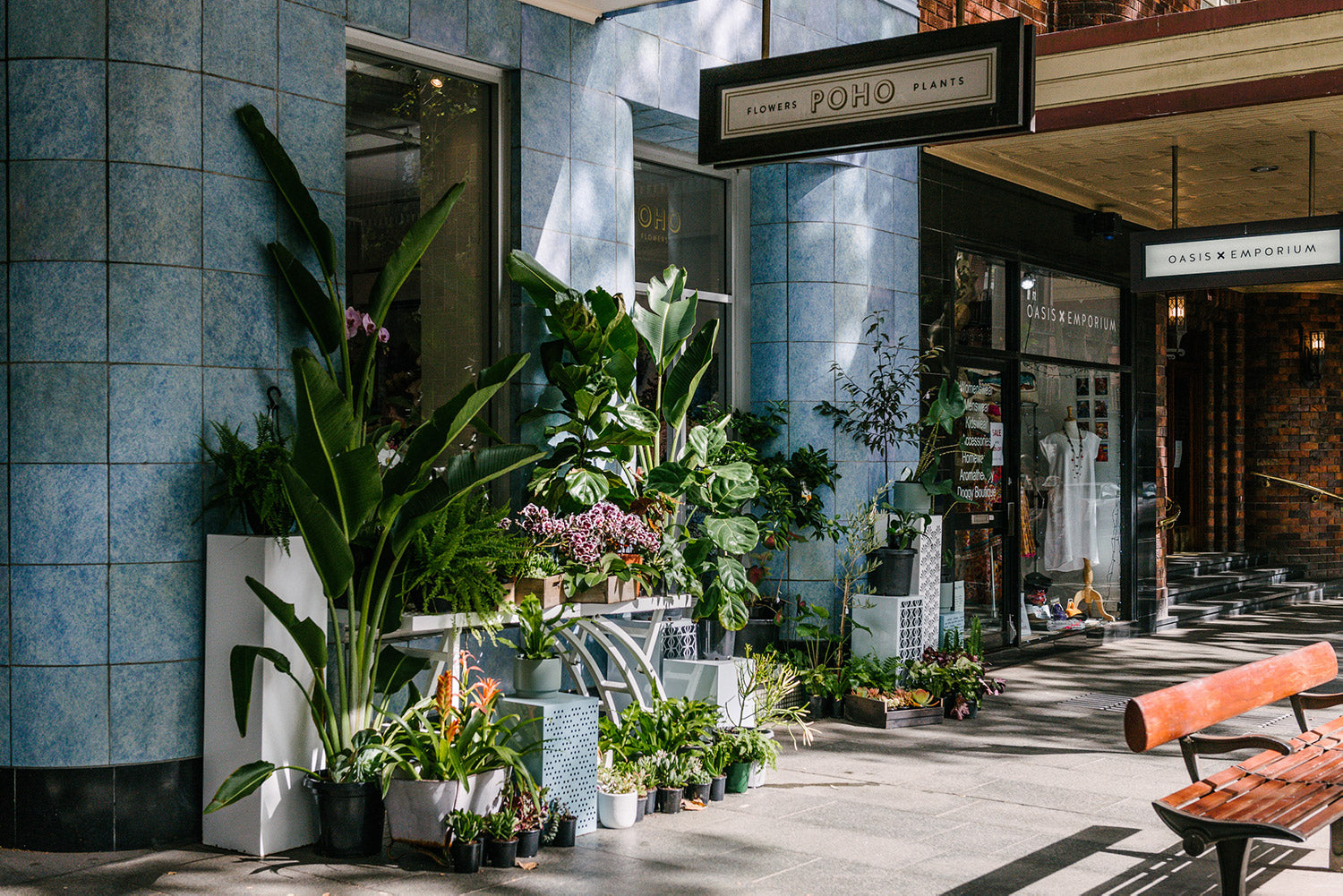 How To Bring The Winter Garden Inside With Indoor Plants