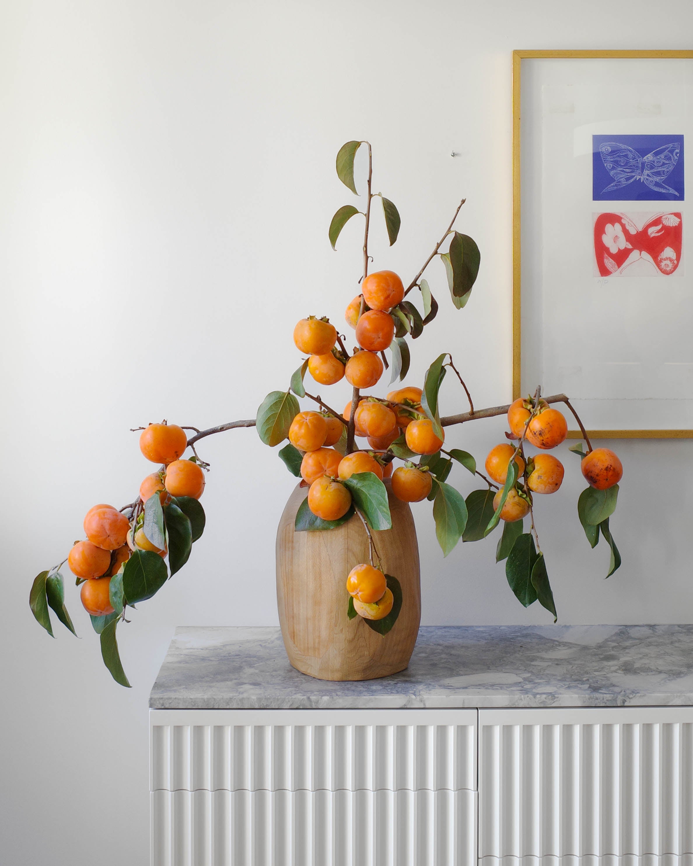 Introducing Alexis Williams