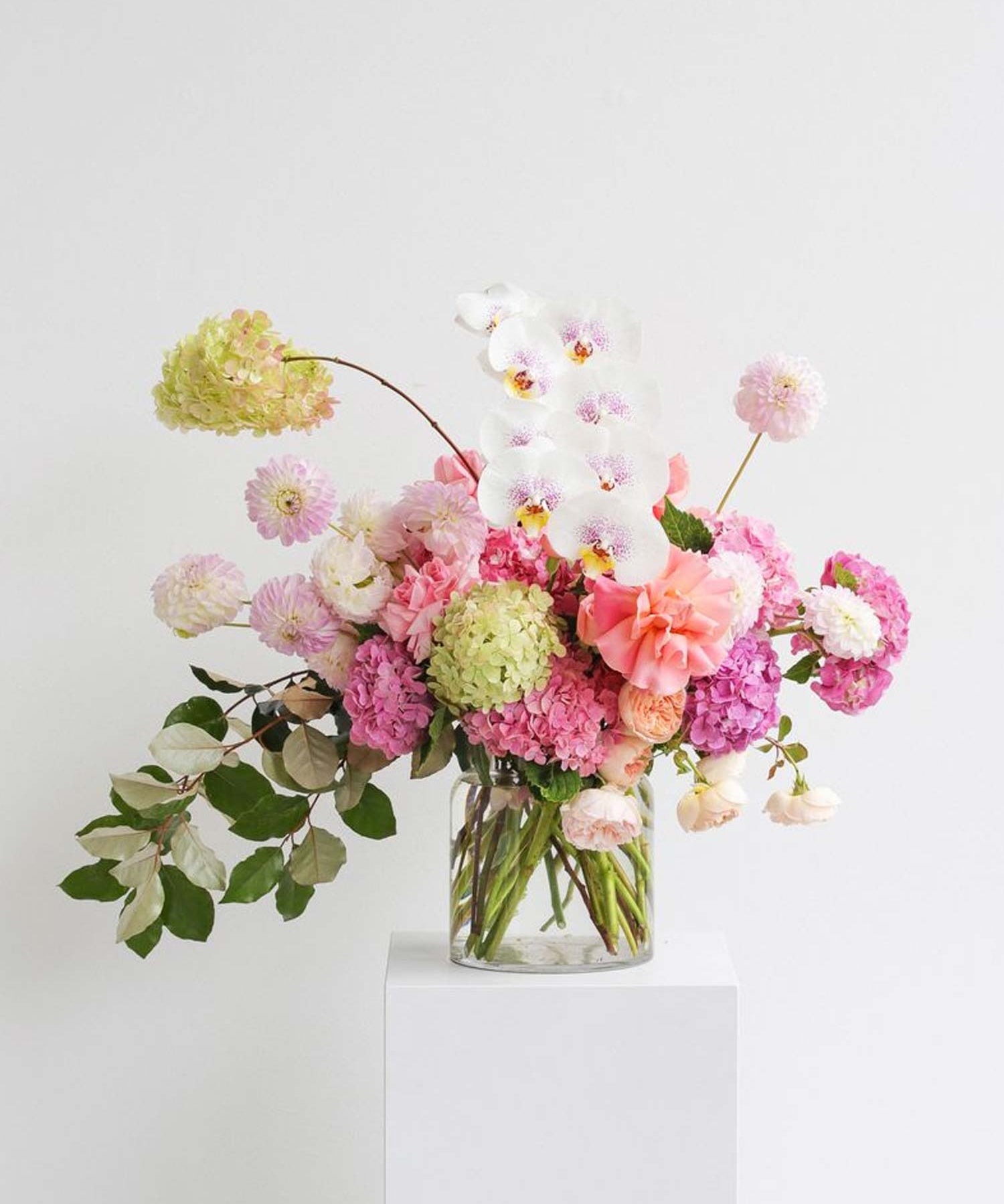 Seasonal Flowers in Sydney: What’s Blooming at Local Flower Shops This Month