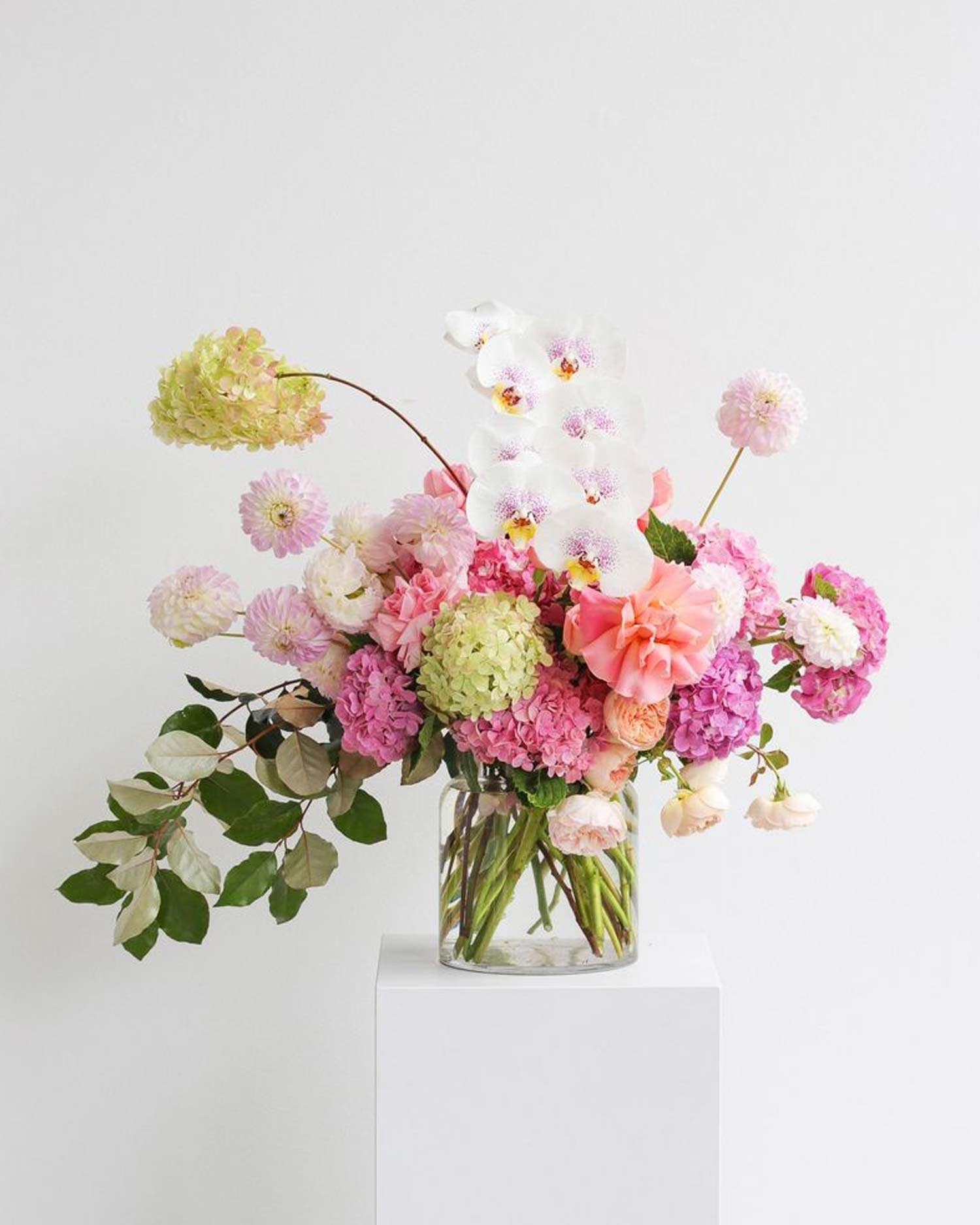 Seasonal Flowers in Sydney: What’s Blooming at Local Flower Shops This Month