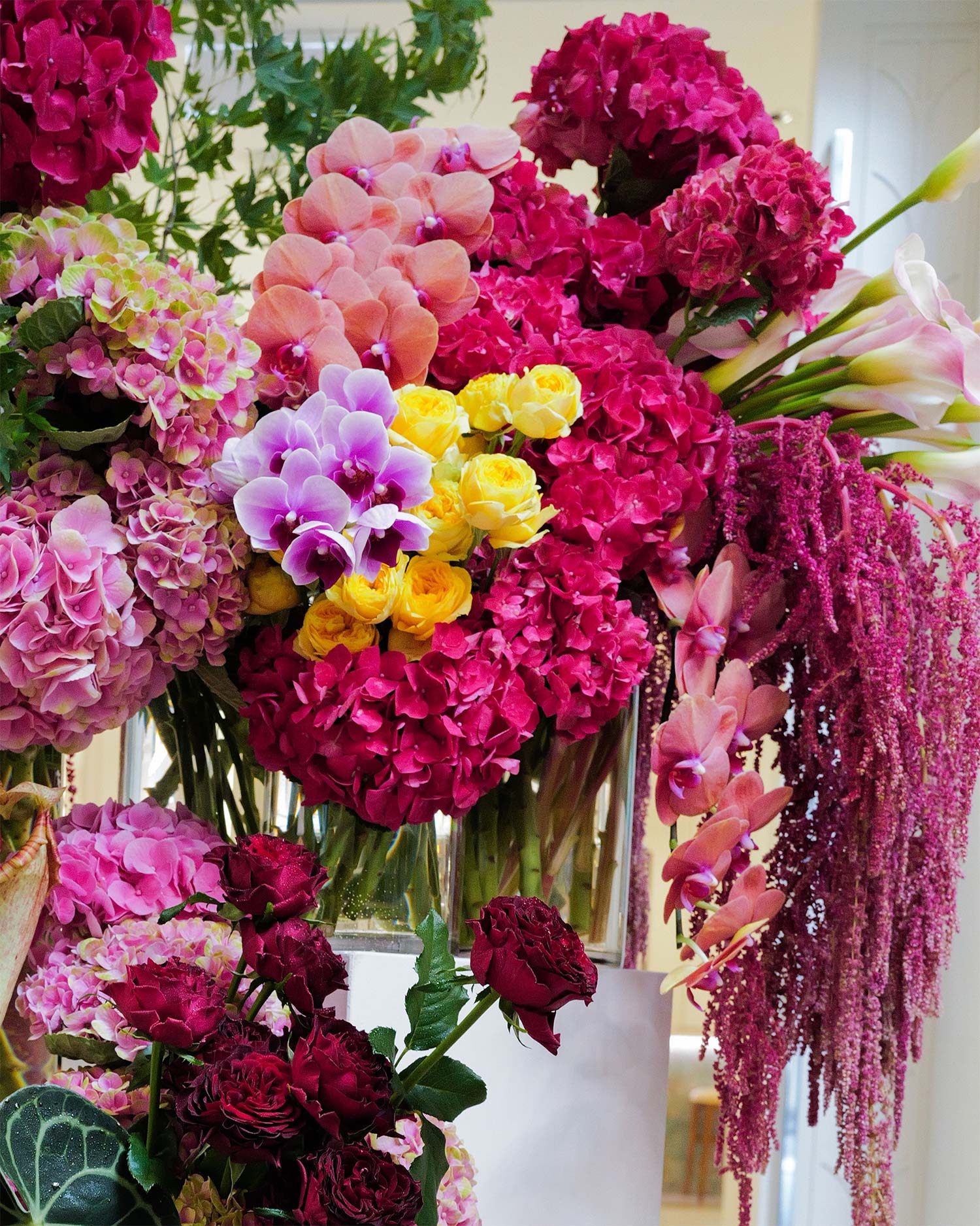 sydney-flowers.jpg