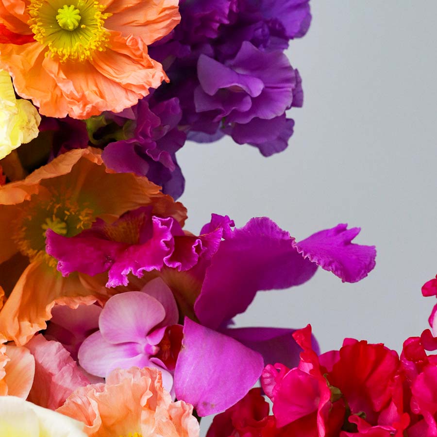 Florist Choice Flowers Delivery Sydney CBD Poho Flowers