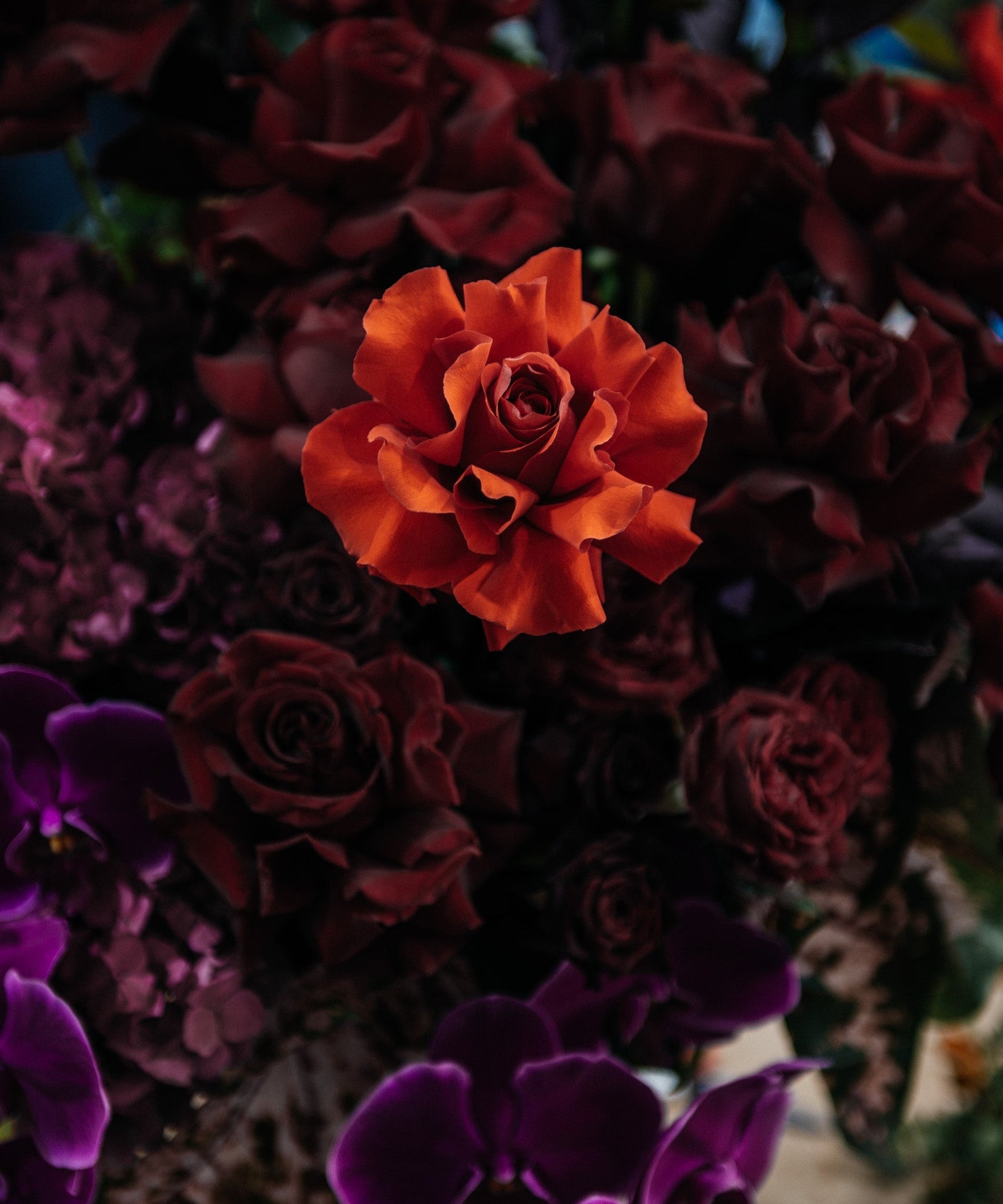 Valentine’s Day – I Love You?!