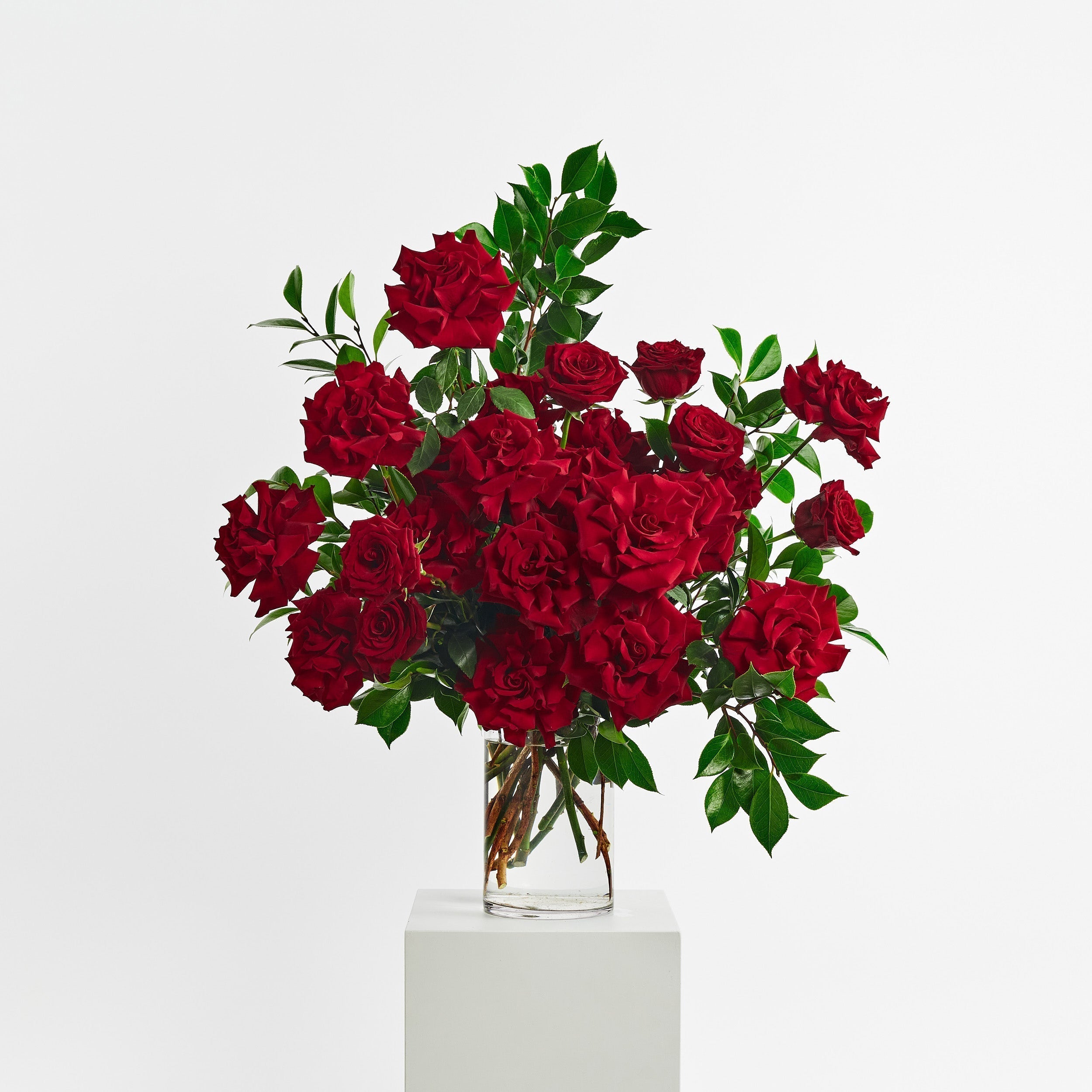 Why Sydney CBD Flower Delivery Is More Popular Than Ever?