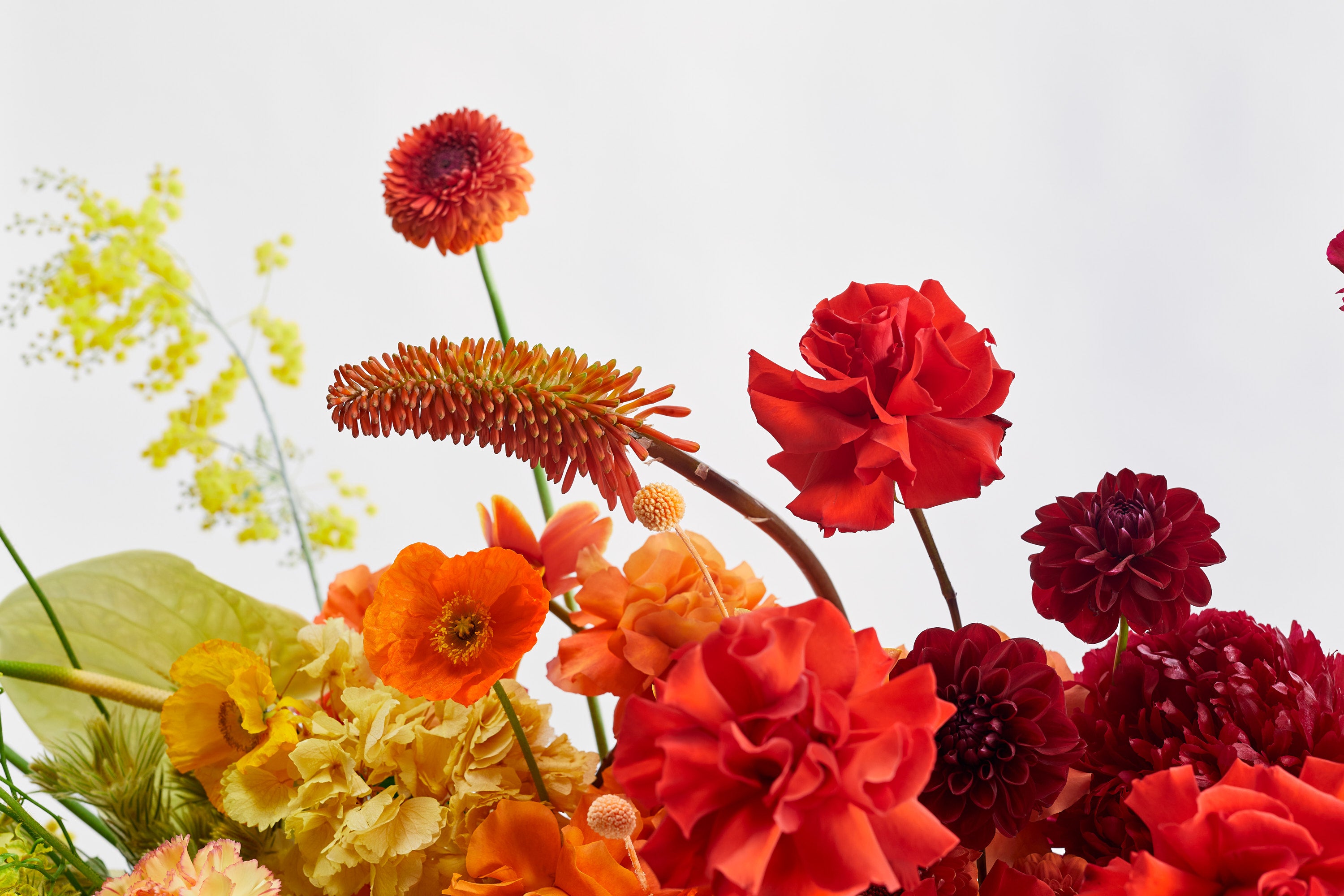 Flowers Are The Ultimate Gift For Every Occasion