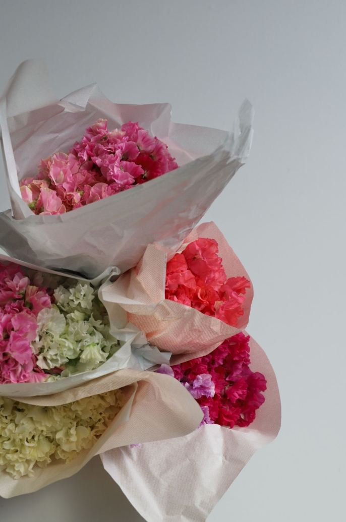 5 Spring Poho Flowers Favourites