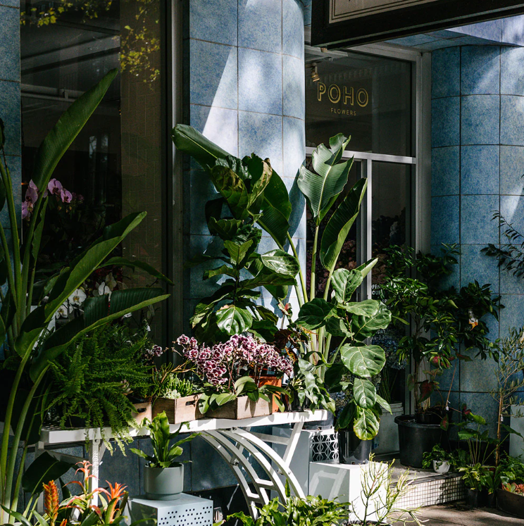 Looking for the Perfect Bouquet? Which Florist in Sydney Should You Choose?