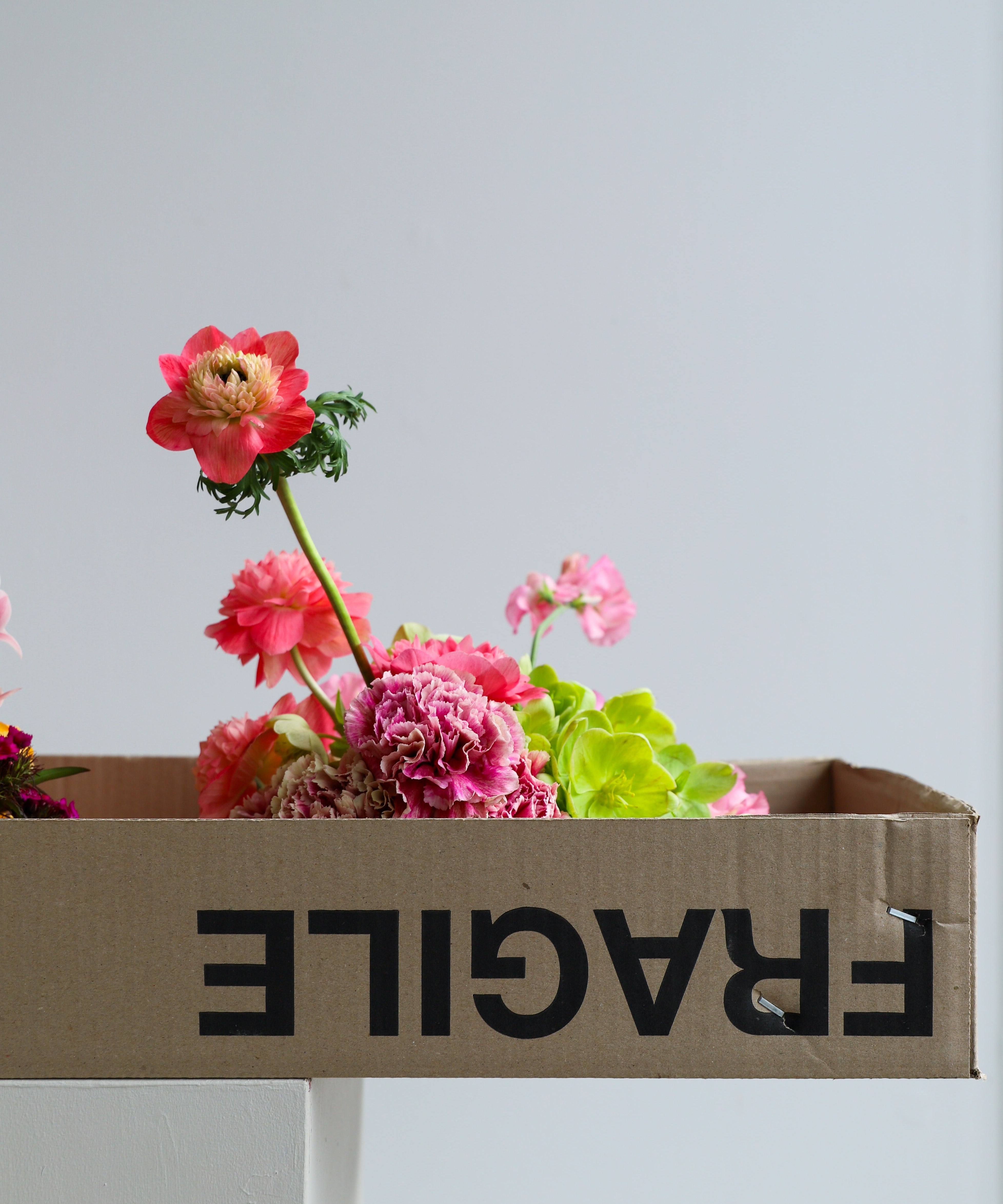 Floristry and a Sustainable Future: Poho’s Flower
