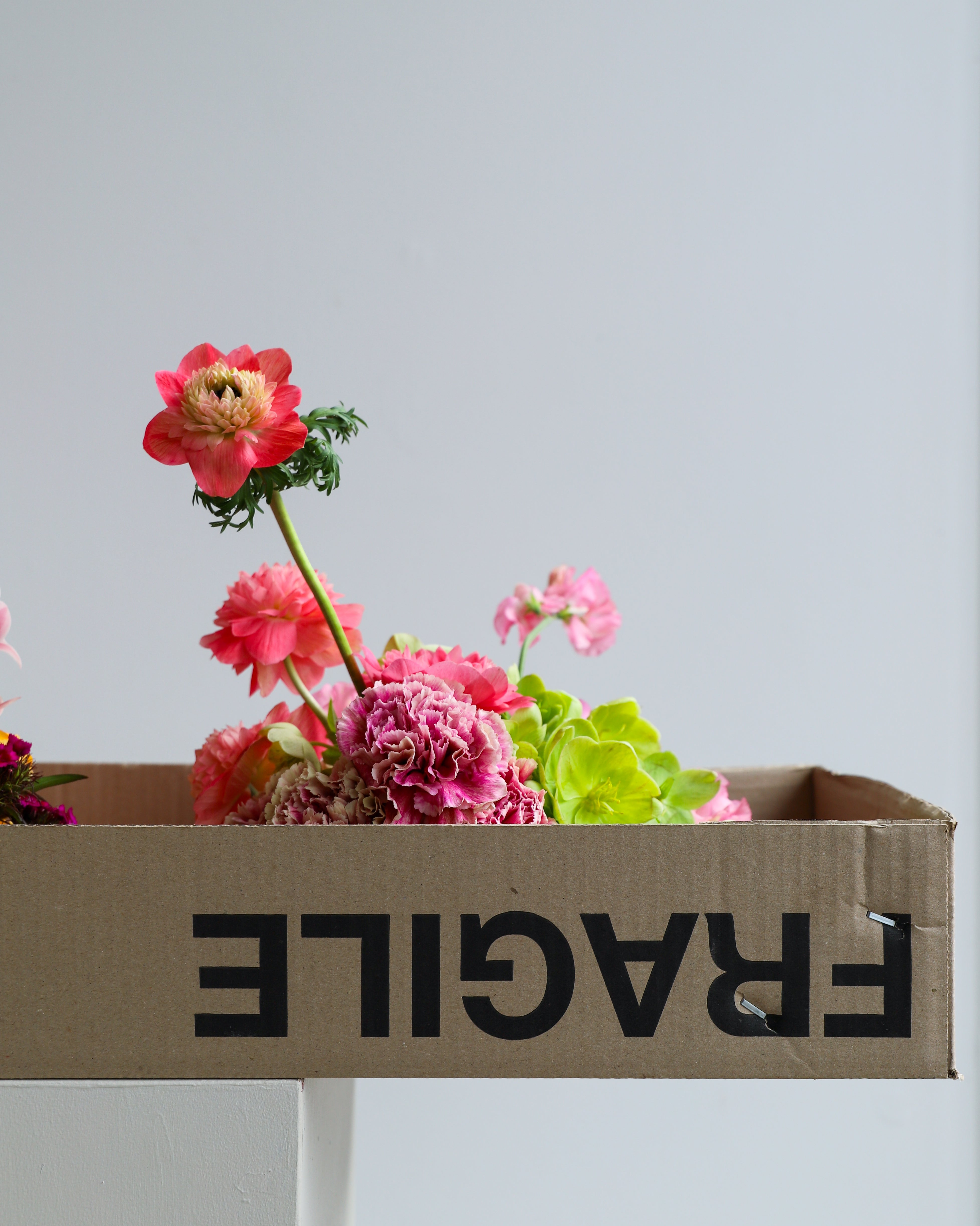 Floristry and a Sustainable Future: Poho’s Flower
