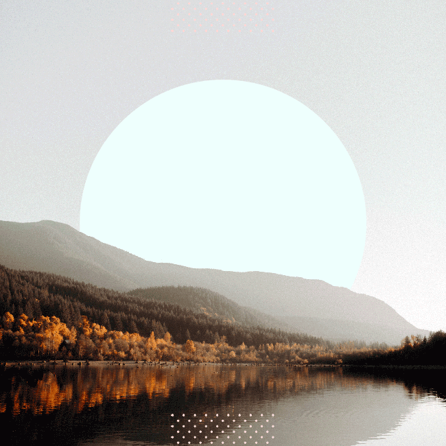 1692386857959_z1te8mm2_7a50997e-be93-4b10-91c6-539393181069.png
