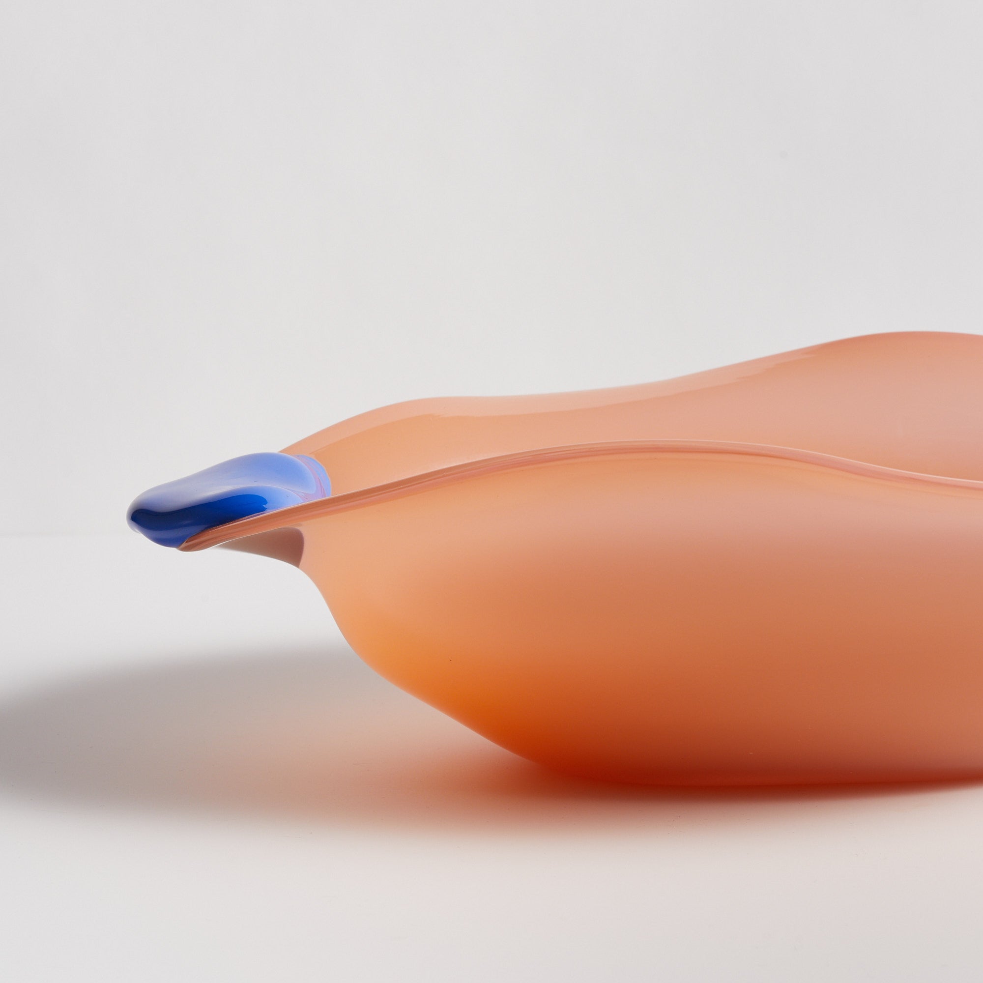 fruitbowl-orangerhubarbbluelollipop_0099.jpg
