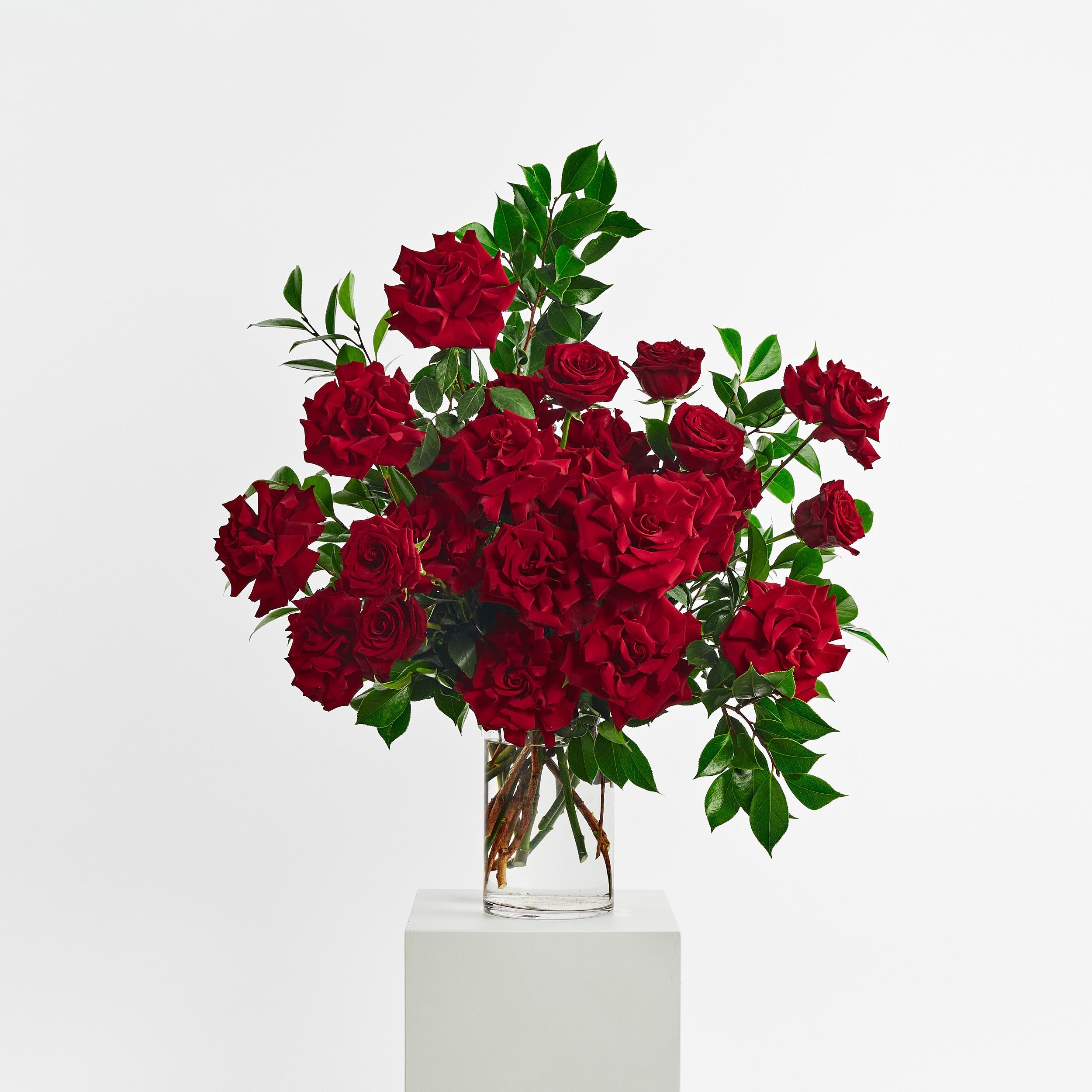 Red Roses Order Red Roses | Order Your Bouquet Online | Flower Delivery in Sydney ...