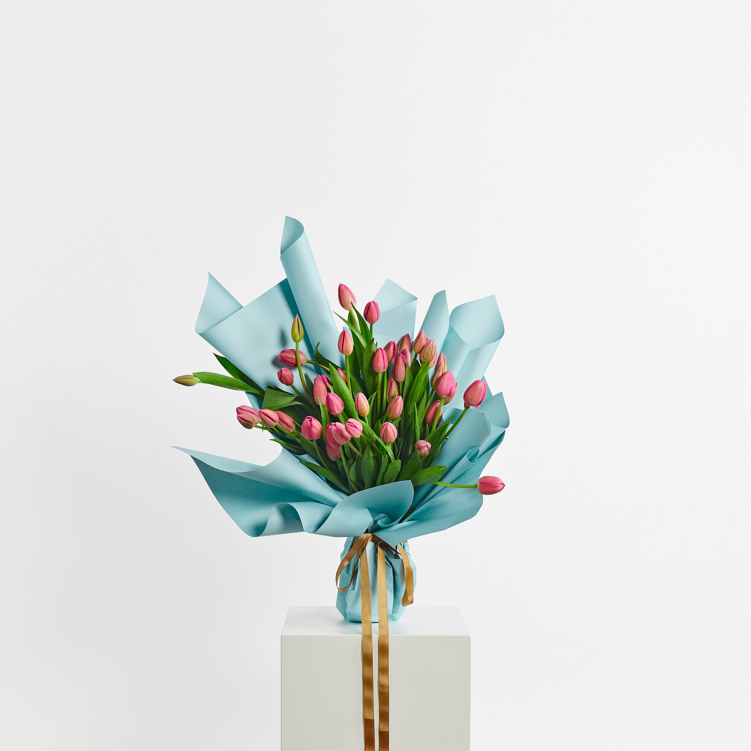 EnMasse_Tulips_LrgWrap_WebCrop.jpg