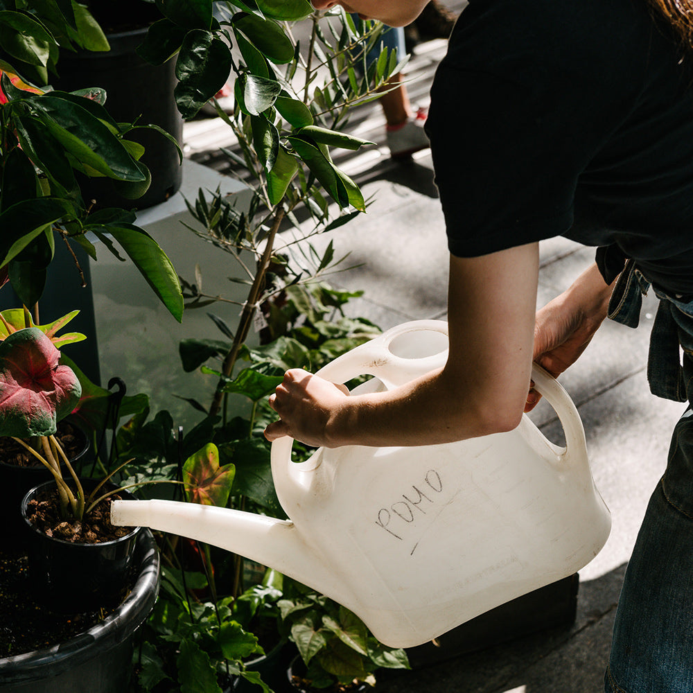 Plants With Purpose
