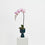 iittala Potted Orchid